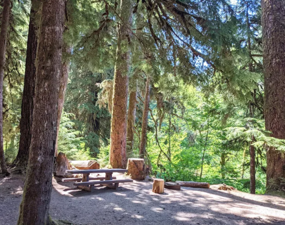 Campground