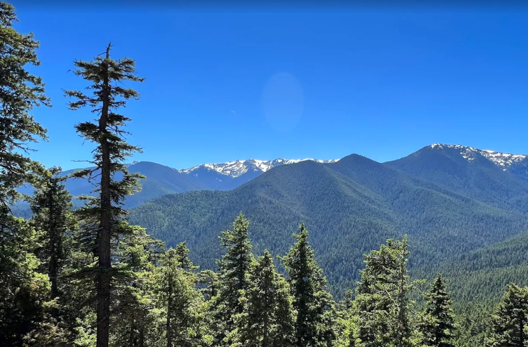 Olympic NP