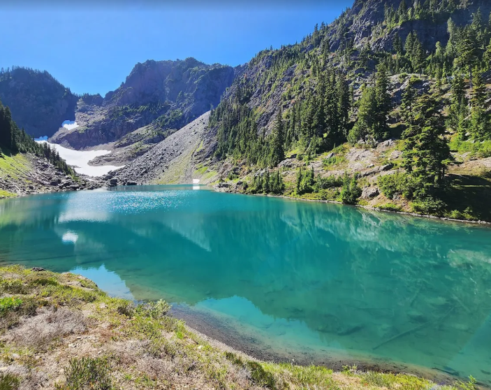 Olympic NP1